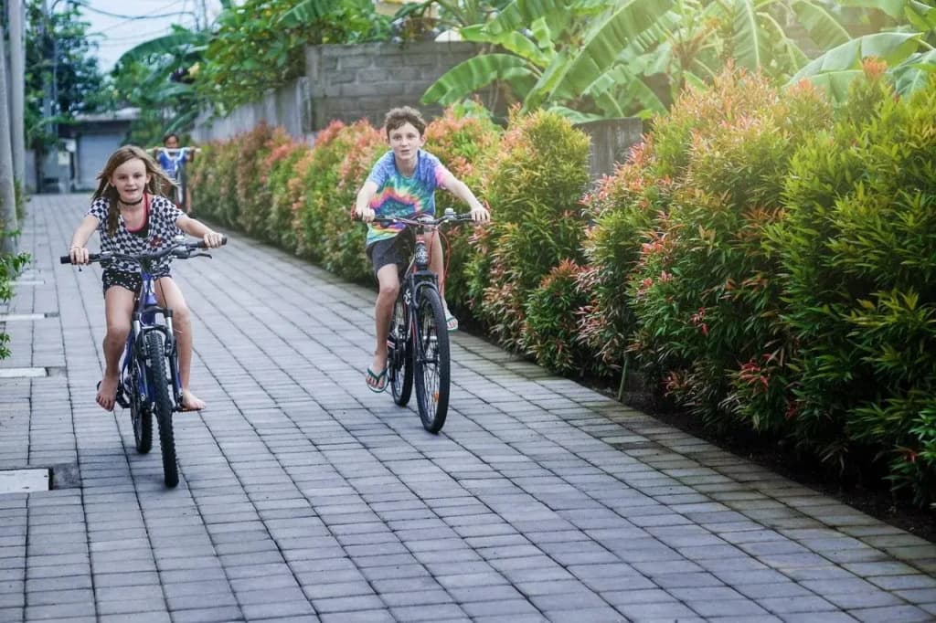 Desa Di Bali Villas - photo 30