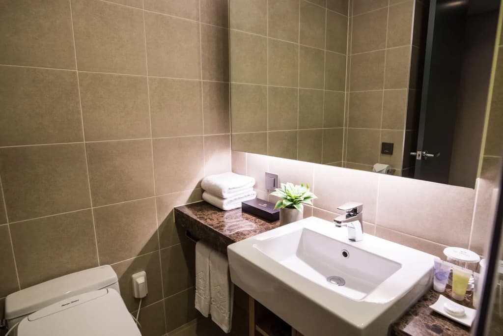 Ibc Hotel  - photo 8