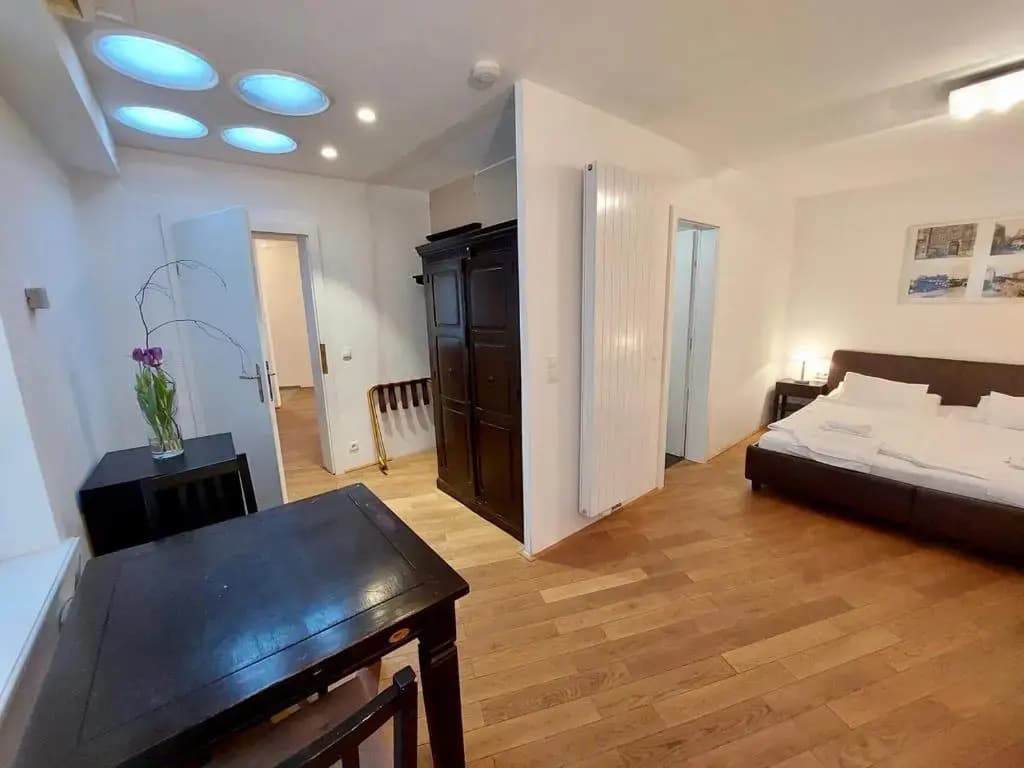 Vienna Studio Apartments - photo 5