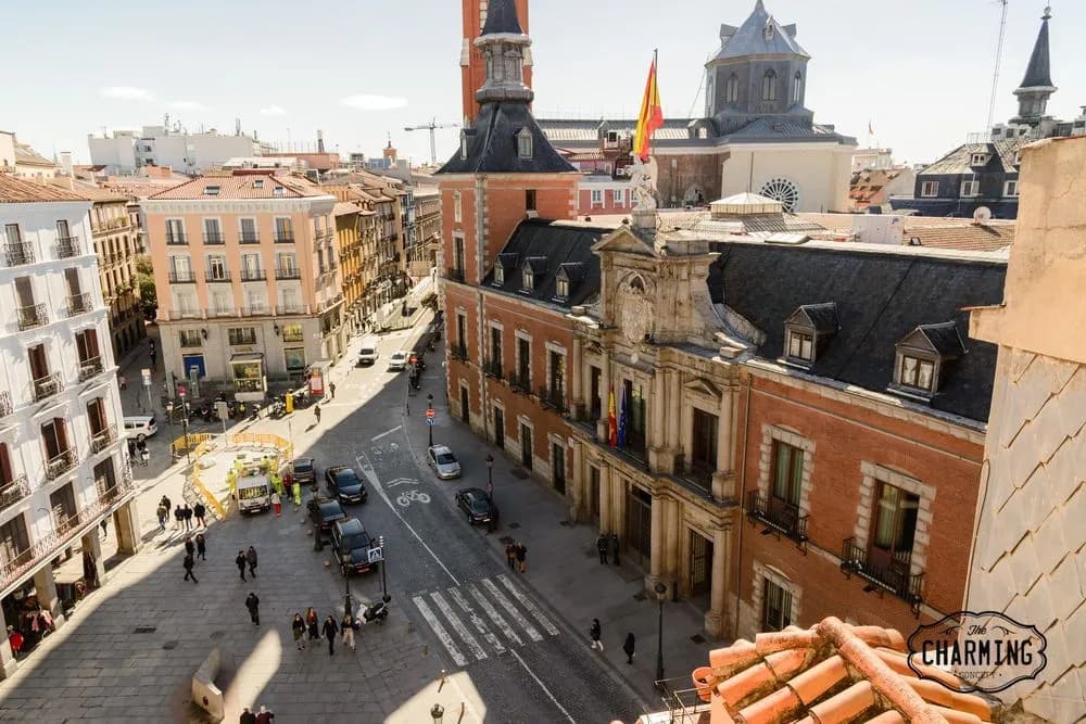 Charming Madrid Plaza - photo 14