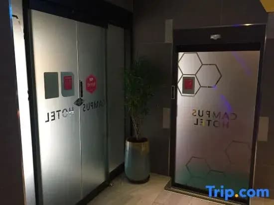 Sinchon Champus - photo 17