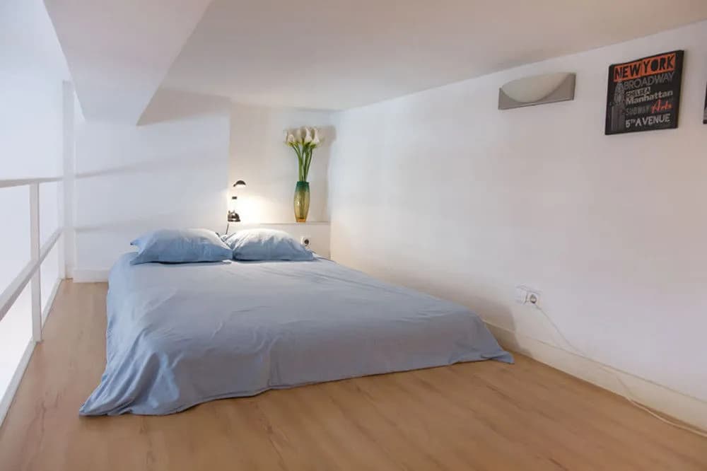 Apartamentos Puerta del Sol-Lofts Calle Ribera de Curtidores - photo 3