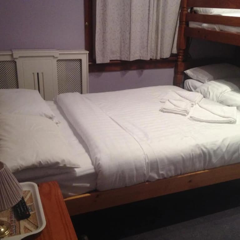 Twin Lions Hotel - photo 43
