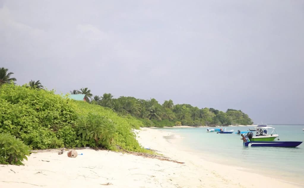 Evila Inn - Thoddoo - photo 16