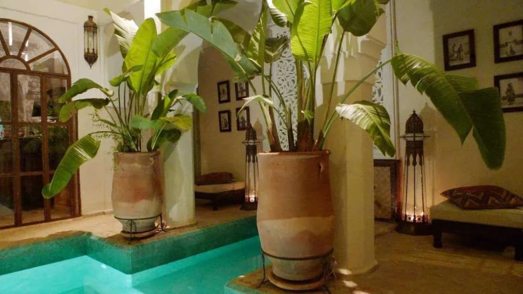 Riad Palacio de las Especias - photo 14