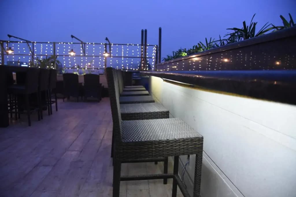 Hotel Picasso Naraina - photo 11