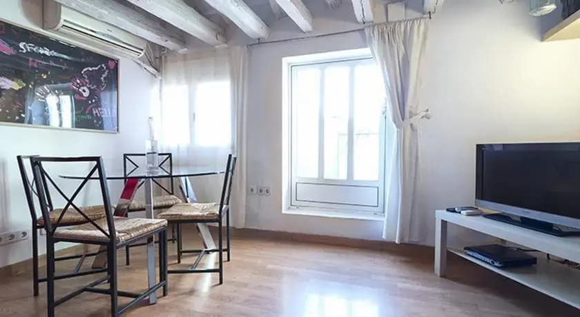 Friendly Rentals Chueca Terrace II - photo 1