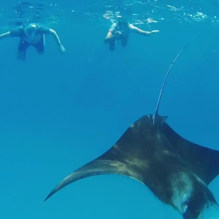 Shifa Lodge Maldives - photo 13