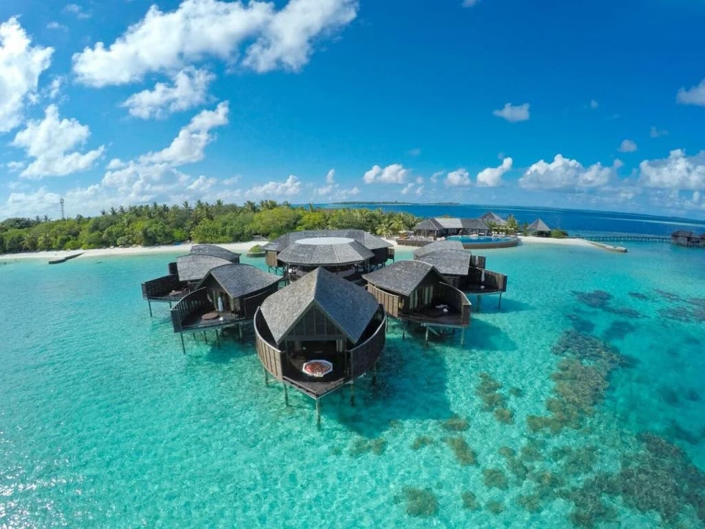 Lily Beach Resort & Spa - photo 24