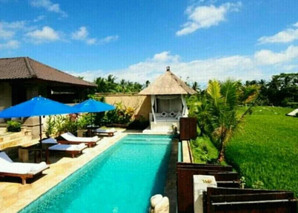 Ubud Aura Retreat - photo 9