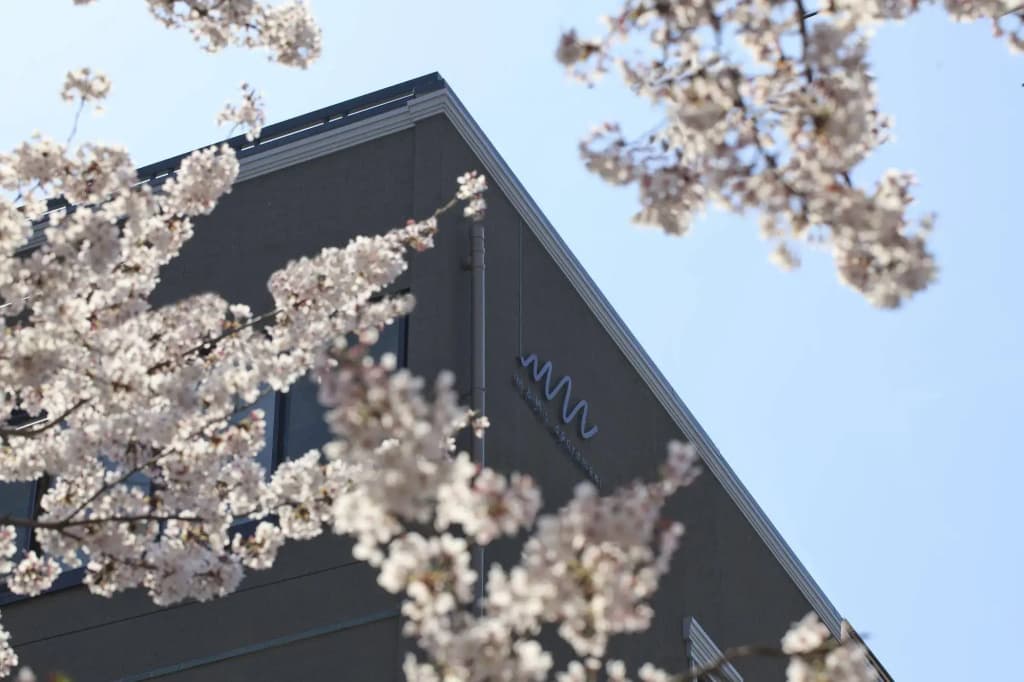 RESI STAY Heian Sakura - photo 1