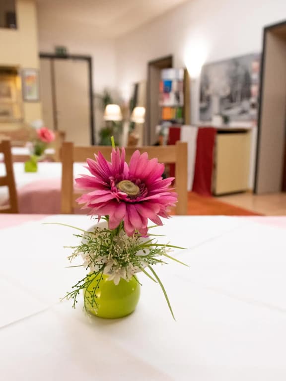 Hotel Pension Mariahilf - photo 31