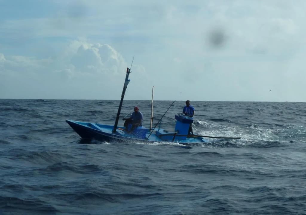 Viluxer Veyli & Diving - photo 10