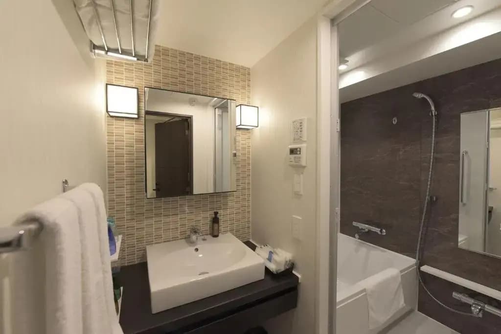 Hotel Brillio Asakusabashi - photo 10