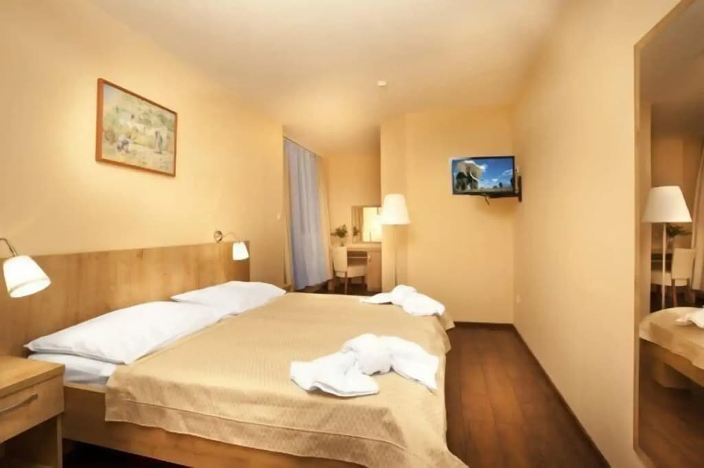 Hotel Superior Prague - photo 6