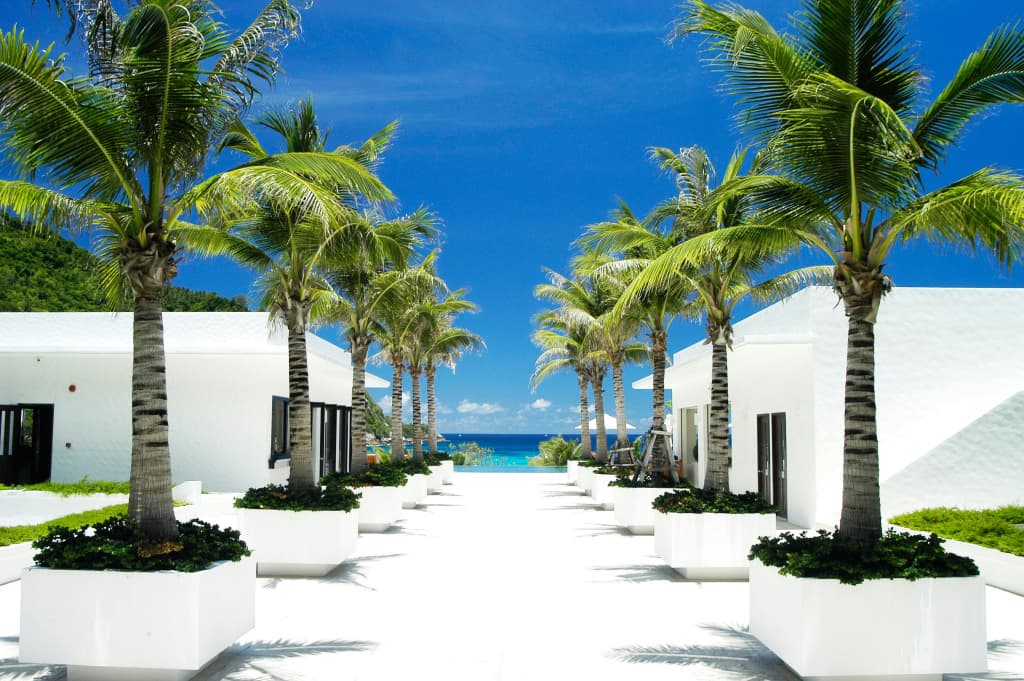 The Racha - photo 19