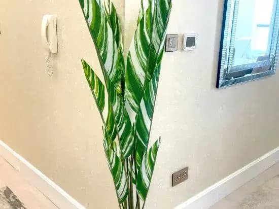 Royal Beach Residences 2 - photo 4