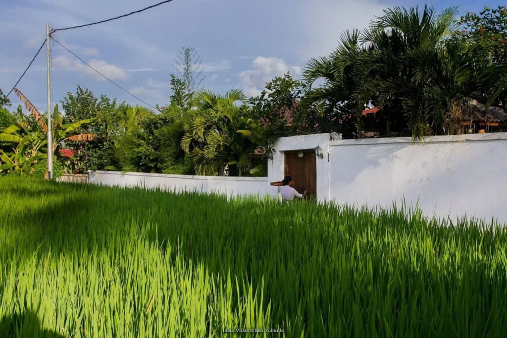 Villa Iman - photo 15