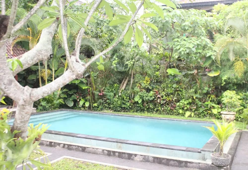 Alit Bungalows Ubud - photo 12
