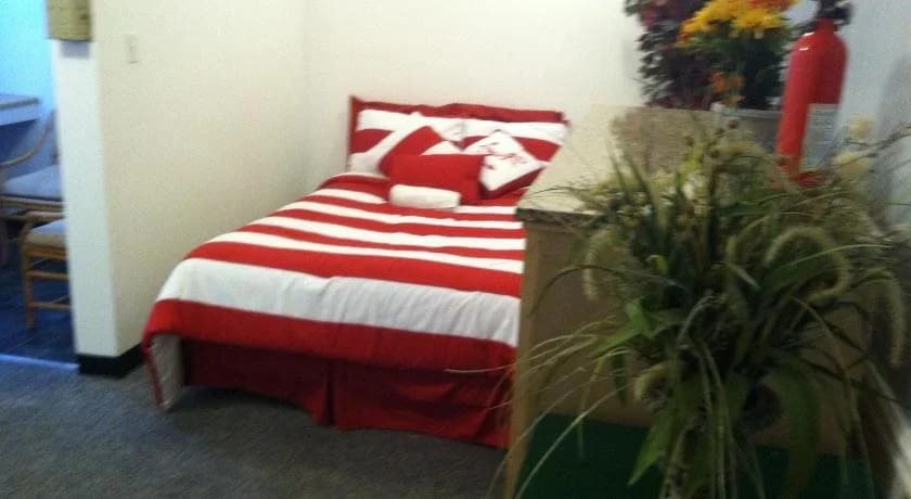Venice Beach Hostel - photo 5