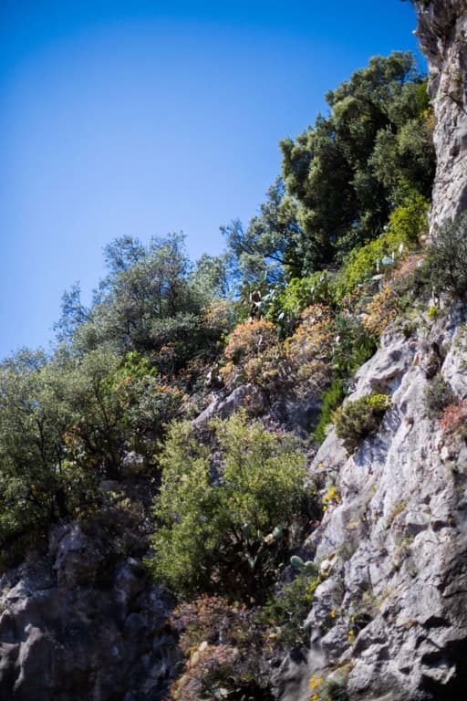 Riviera - photo 24