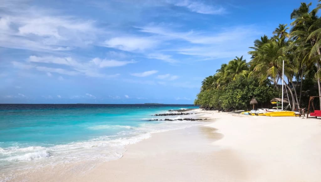 Taj Coral Reef Resort & Spa - photo 21