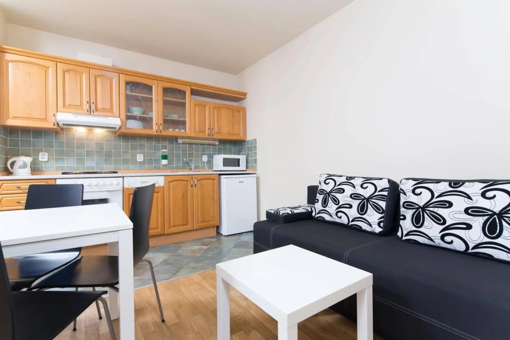 Picasso Apartments Prague - photo 19