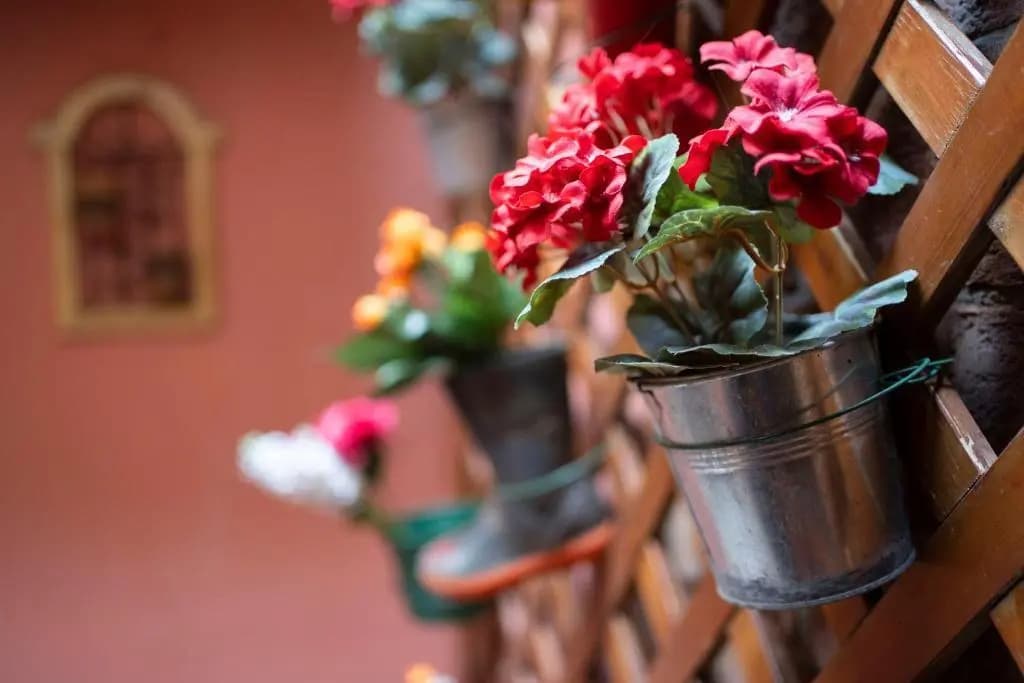 Valentinas Home - photo 17