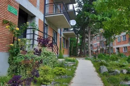 Jiqia Hostel - photo 2
