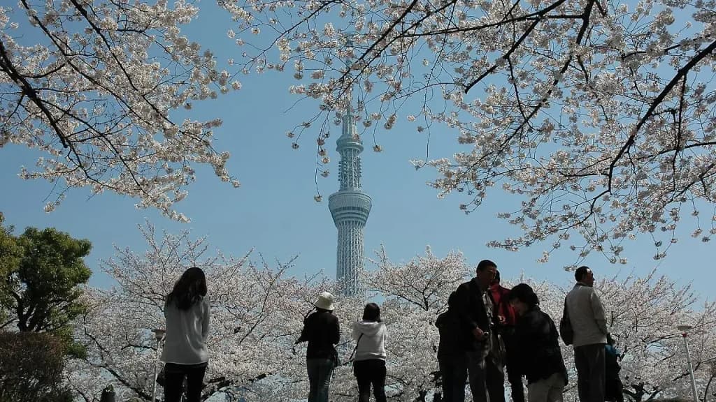 Sakura Sky Hotel - photo 23