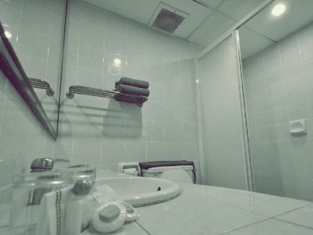 Putra Brasmana Hotel - photo 7