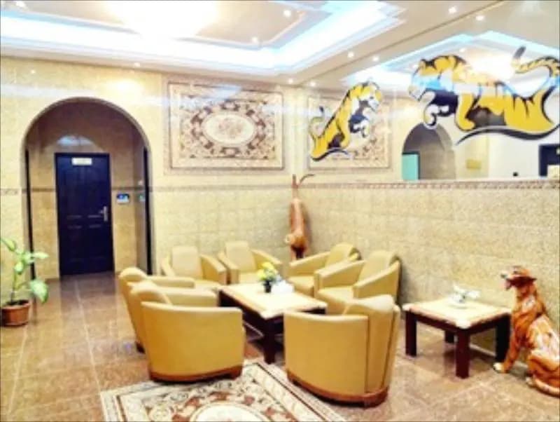 Tiger Home Hotel Apartments - photo 22