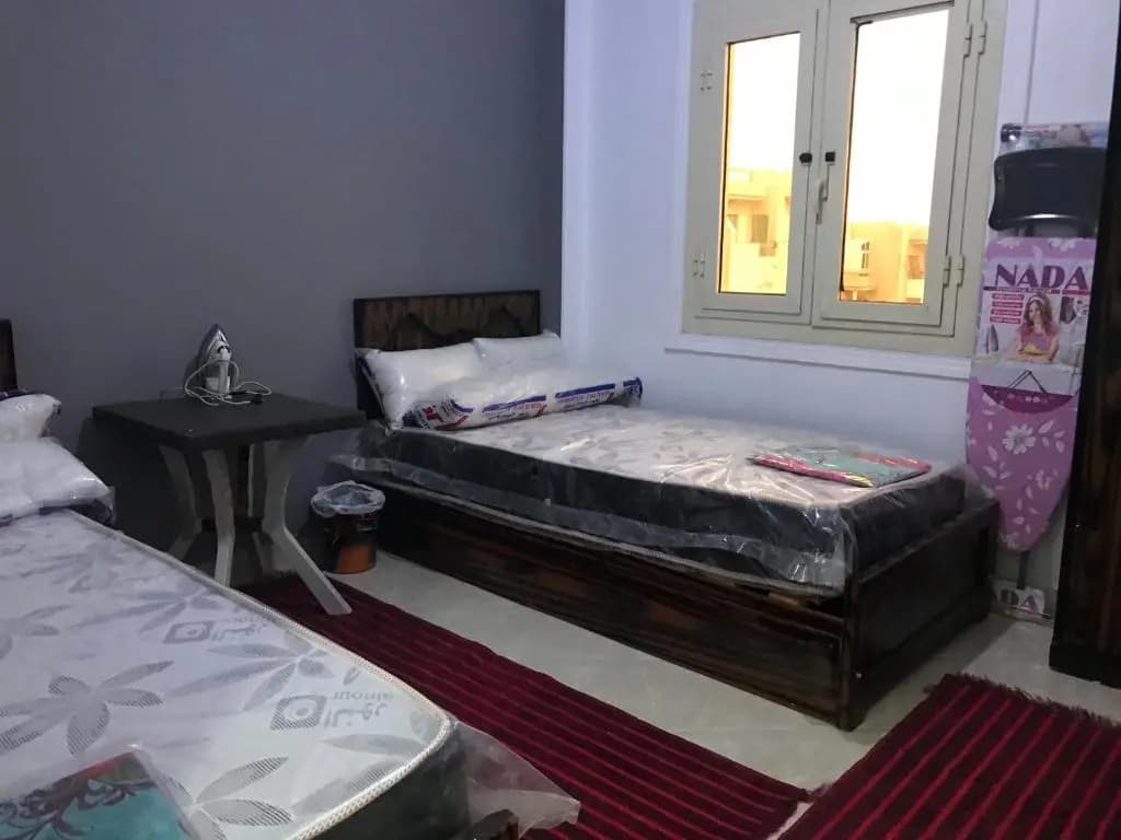 القاهرة - photo 4