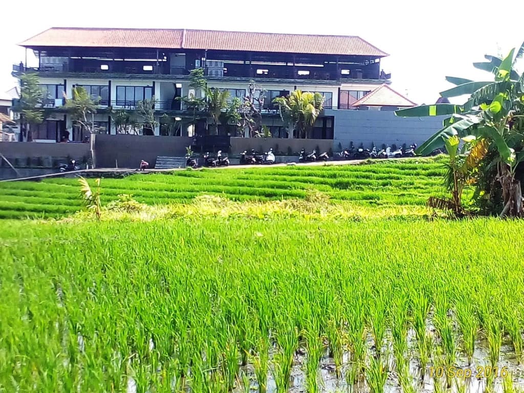 Grandpa Guest House - photo 14