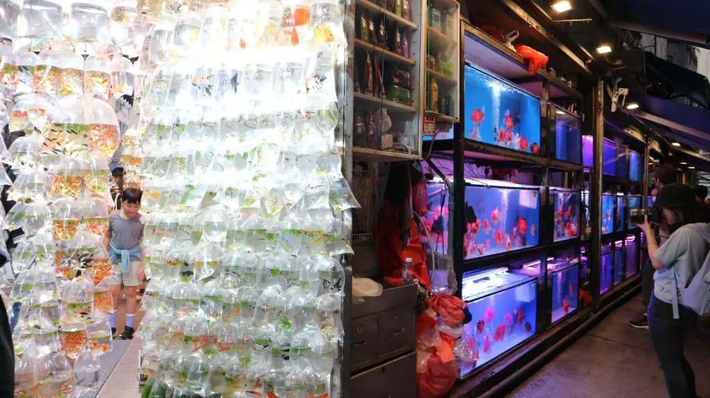 Dorsett Mongkok, Hong Kong - photo 17