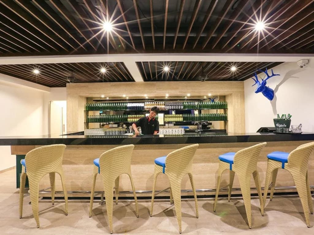 Eco Tree Hotel - photo 29