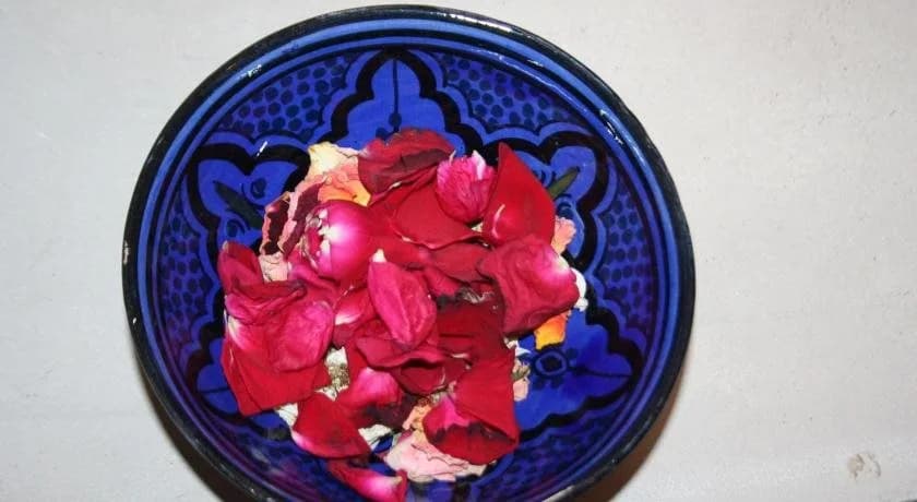 Riad Alghani - photo 7