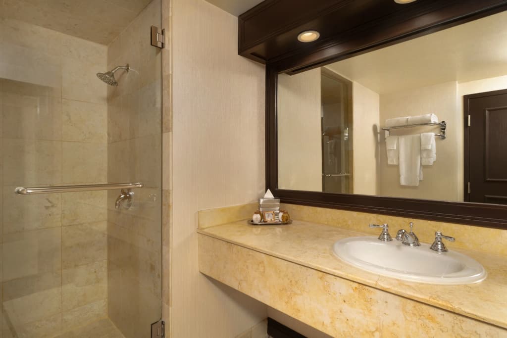 Treasure Island - TI Las Vegas Hotel & Casino - photo 8