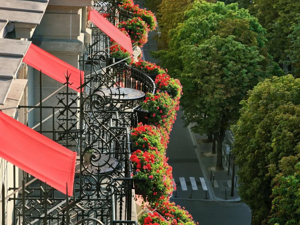 Plaza Athenee Hotel - photo 20