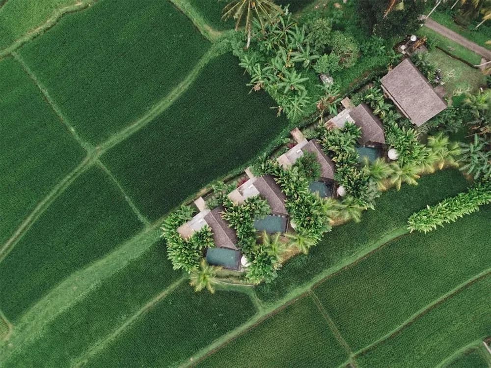 Lasamana Villas Ubud by GenuineHost - photo 13