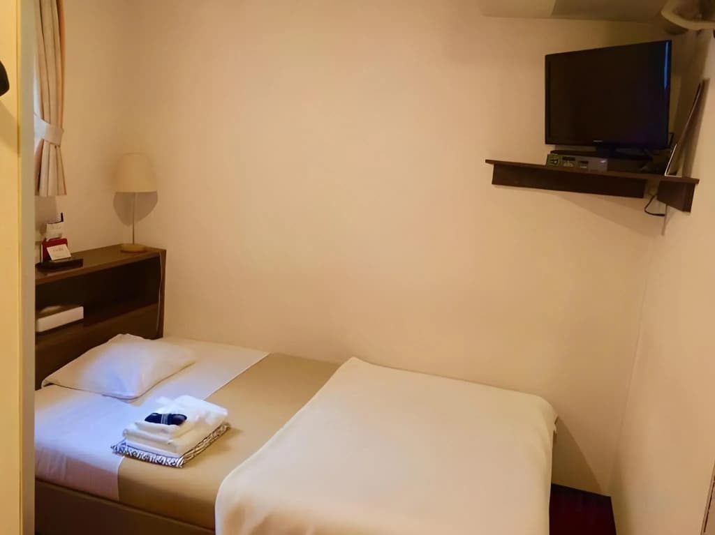 Hotel Yanagibasi - photo 5