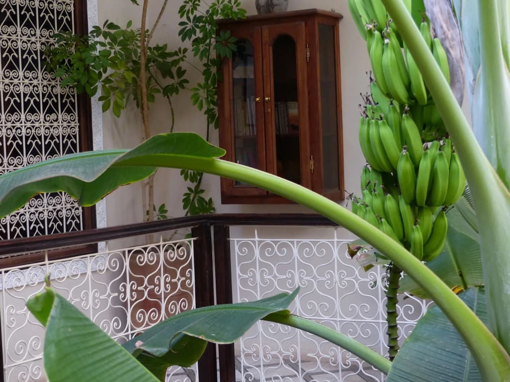 Riad Marhbabikoum - photo 19
