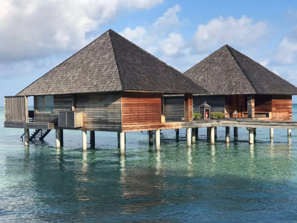 Gangehi Island Resort - photo 29