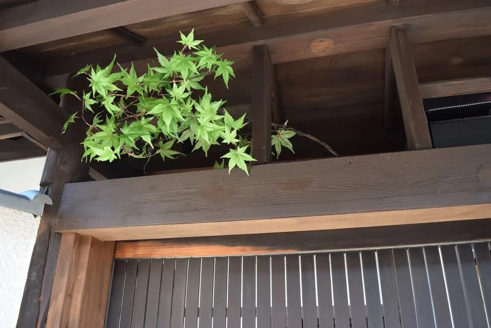 My Pavilion to Arasiyama & Gion - photo 27