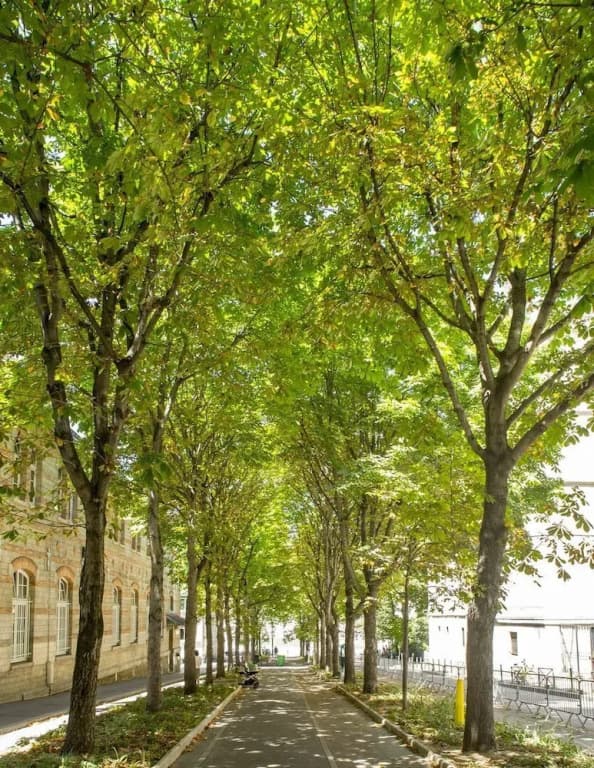 Haussmann Style in the 15th - photo 7