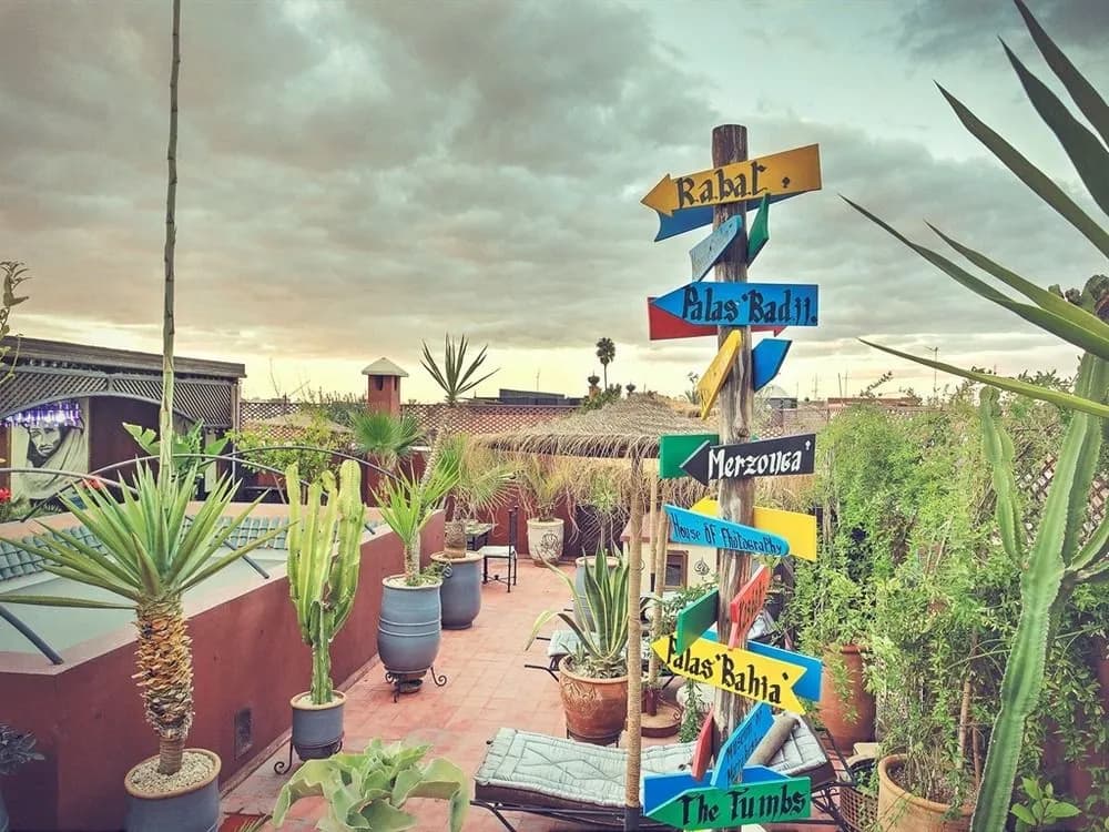 Riad Chafia - photo 19