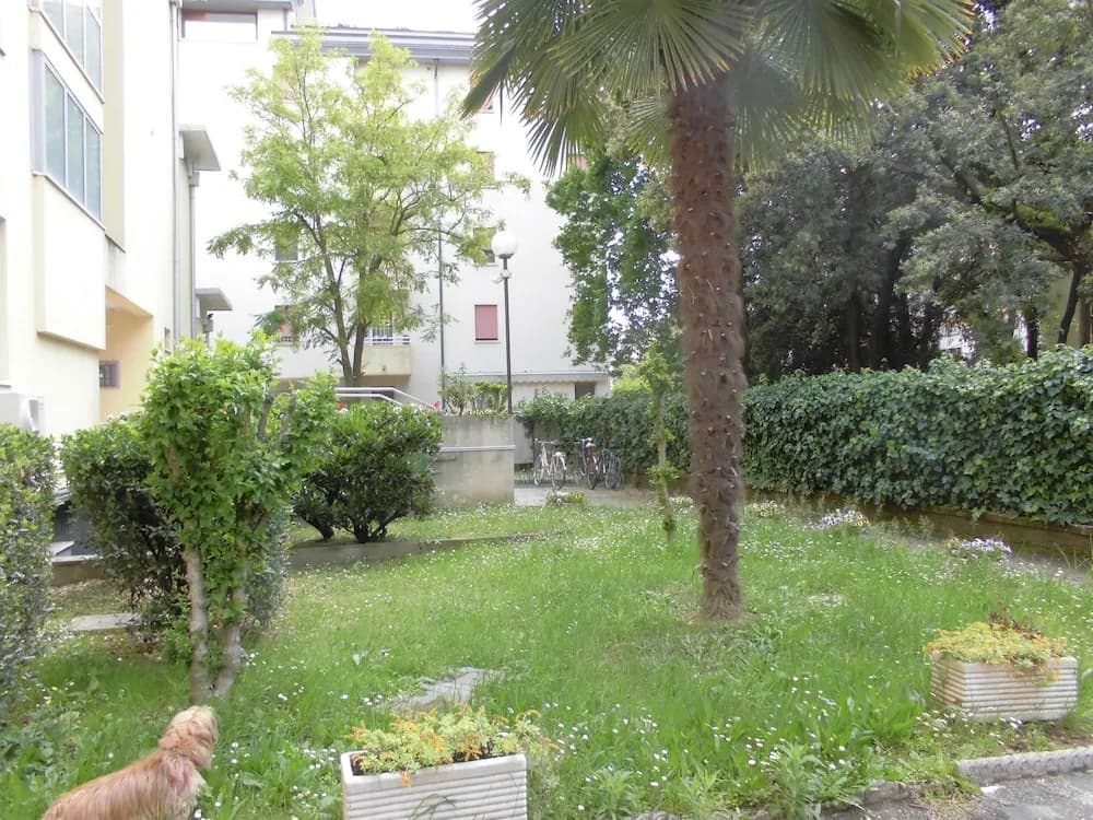 Girasole - photo 14