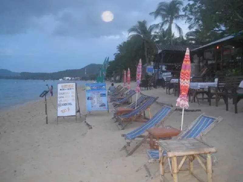 Calm Beach Resort - photo 13