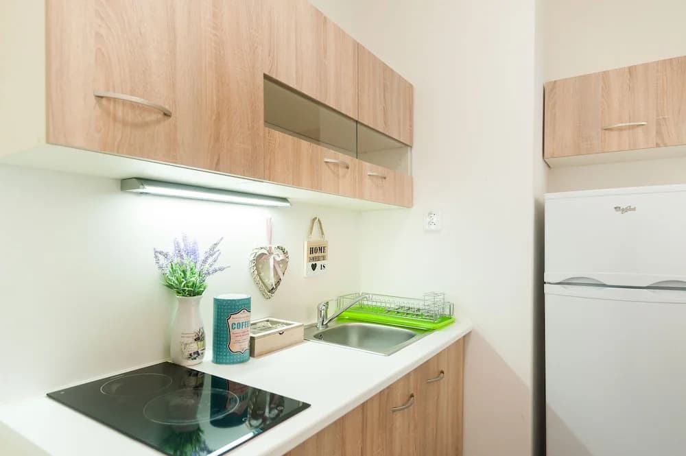 Superior Suites & Apartments in the Heart of Prague - photo 19