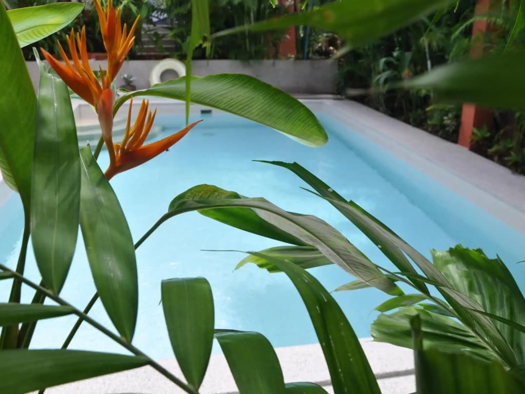 Sallamai Resort - photo 16